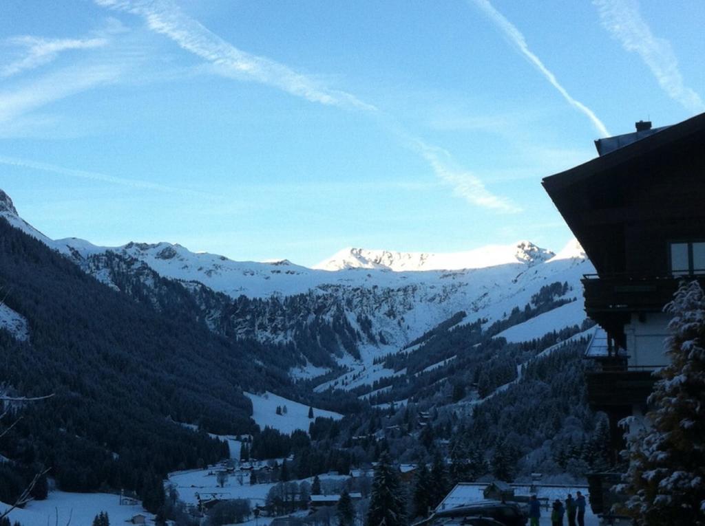 Ski In-Ski Out - Gaestehaeuser Saalbach-Hinterglemm - Wallegghof Christianhof エクステリア 写真