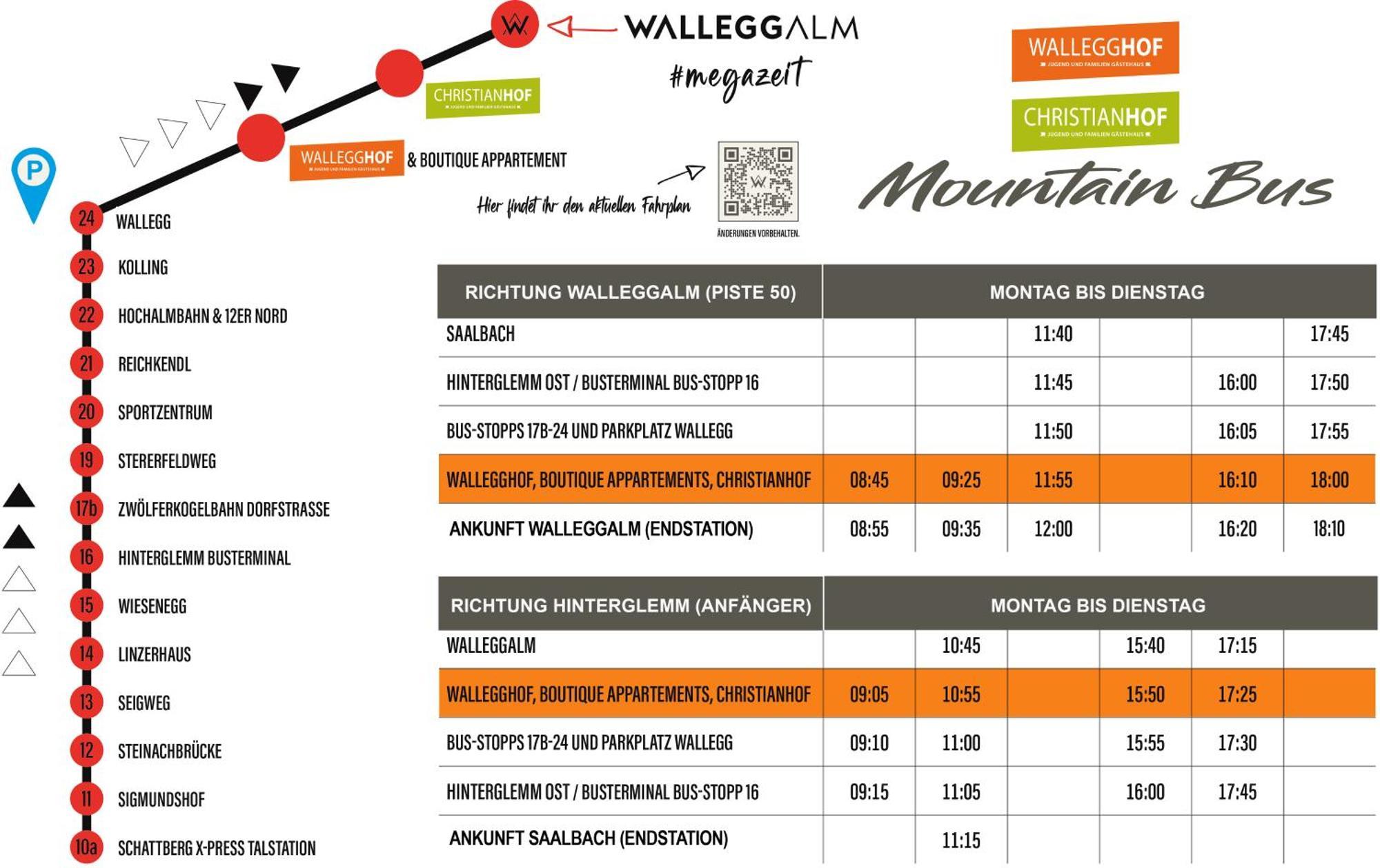 Ski In-Ski Out - Gaestehaeuser Saalbach-Hinterglemm - Wallegghof Christianhof エクステリア 写真
