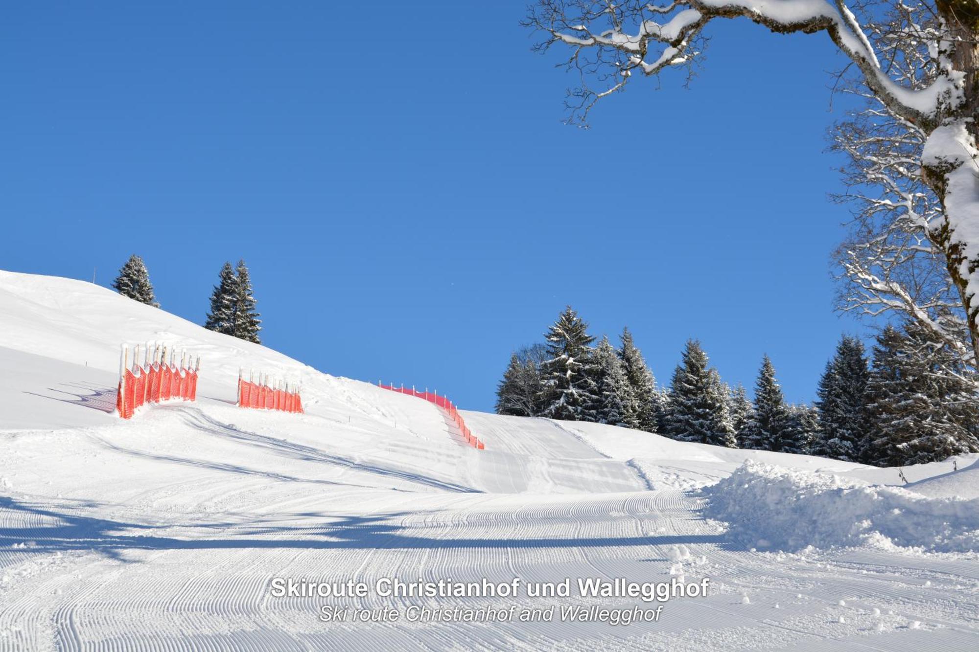 Ski In-Ski Out - Gaestehaeuser Saalbach-Hinterglemm - Wallegghof Christianhof エクステリア 写真