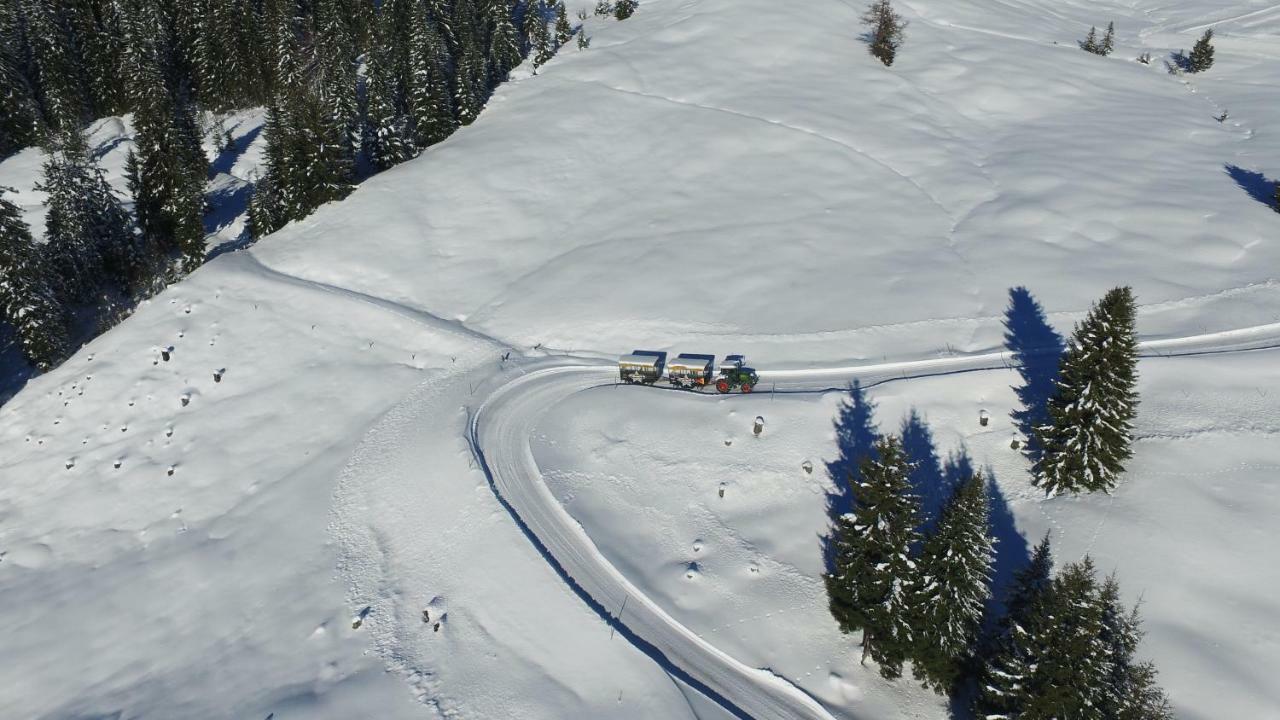 Ski In-Ski Out - Gaestehaeuser Saalbach-Hinterglemm - Wallegghof Christianhof エクステリア 写真