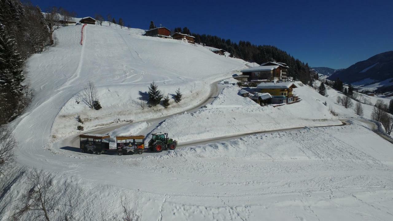 Ski In-Ski Out - Gaestehaeuser Saalbach-Hinterglemm - Wallegghof Christianhof エクステリア 写真