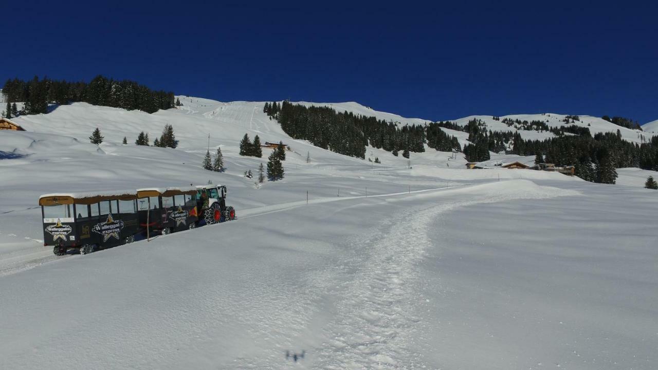 Ski In-Ski Out - Gaestehaeuser Saalbach-Hinterglemm - Wallegghof Christianhof エクステリア 写真